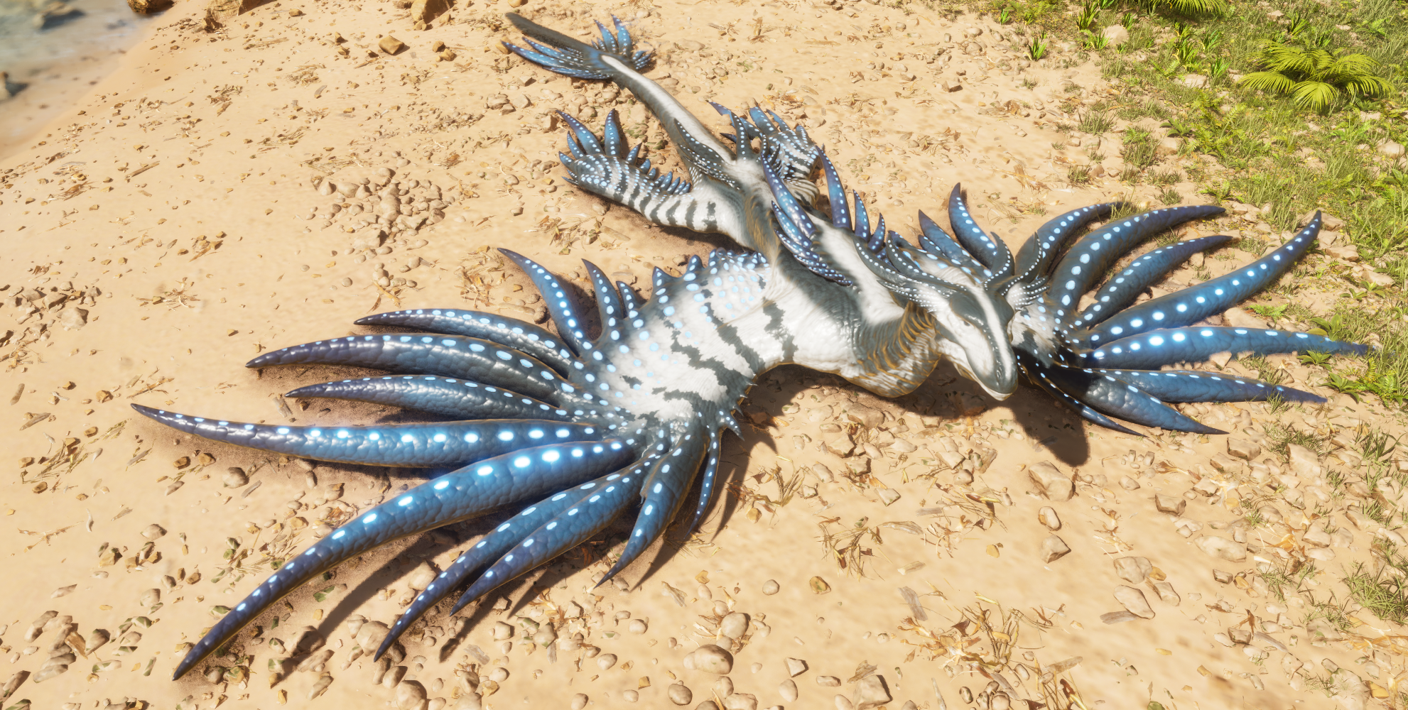 Myrm's Custom Creations: Draconis Glaucus