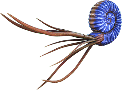 Ammonite