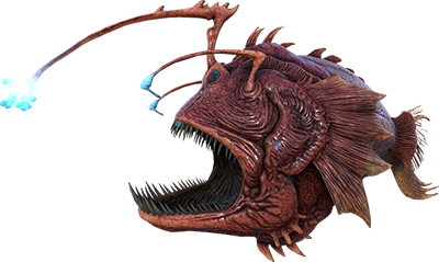 Angler
