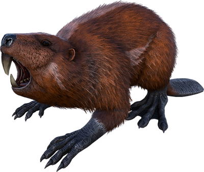 Castoroides