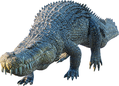 Deinosuchus