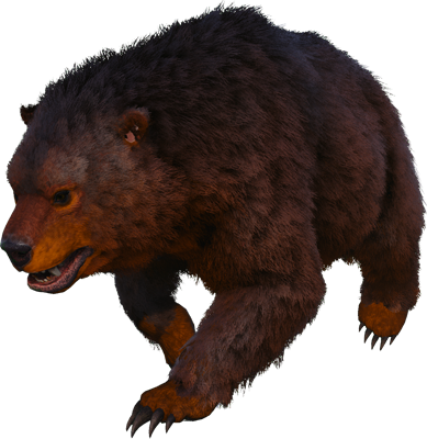 Direbear