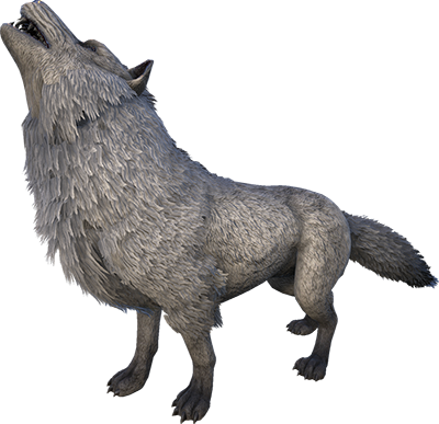 Direwolf