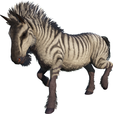 Equus