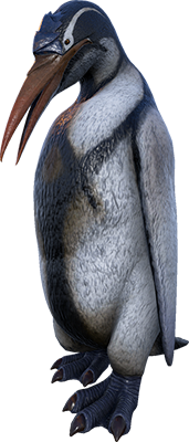 Kairuku
