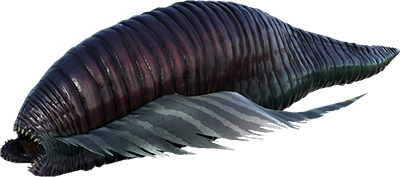Leech