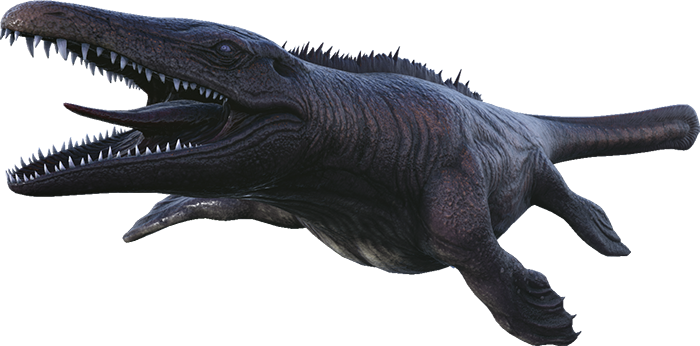 Mosasaurus