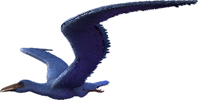 Pelagornis