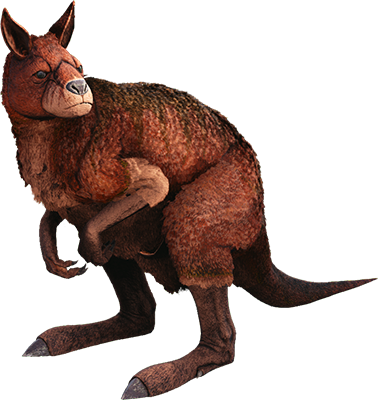 Procoptodon