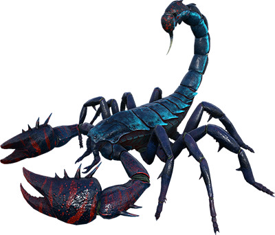 Pulmonoscorpius