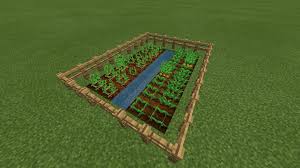 Farmer’s Bundle