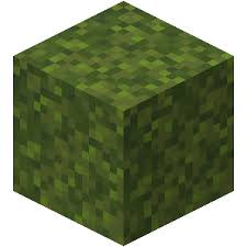Moss