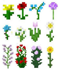 Phoenix Floral Bundle